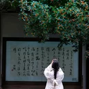 杜甫草堂 - 成都市旅游 缩略图 4