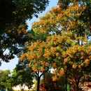 玄武湖景区-情侣园 - 南京市旅游 缩略图 5