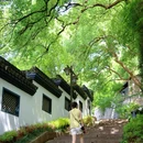 晓霞弄 - 杭州市旅游 缩略图 3
