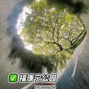 新加坡 - 海外旅游 缩略图 5