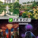 新加坡 - 海外旅游 缩略图 8