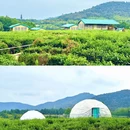 茅山森林世界 - 常州旅游 缩略图 9