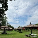 滨湖湿地森林公园 - 合肥市旅游 缩略图 3