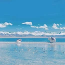 羊卓雍措 - 山南市旅游 缩略图 4