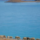 羊卓雍措 - 山南市旅游 缩略图 5