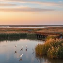 厦门旅游 缩略图 2