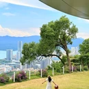 恩上湿地公园 - 深圳市旅游 缩略图 6
