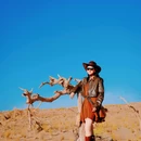 青海格尔木胡杨林省级自然保护区 - 海西蒙古族藏族自治州旅游 缩略图 1