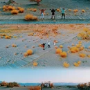 青海格尔木胡杨林省级自然保护区 - 海西蒙古族藏族自治州旅游 缩略图 7