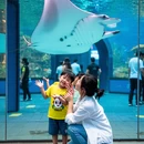 厦门旅游 缩略图 6