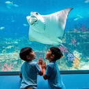 厦门旅游 缩略图 7