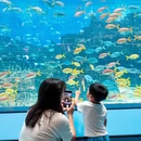 厦门旅游 缩略图 4