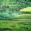 陇卡赖 - 百色市旅游 缩略图 5