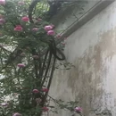 苏州旅游 缩略图 9