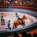 紫清湖野生动物世界 - 南京市旅游 缩略图 7