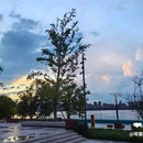 之江文化中心 - 杭州市旅游 缩略图 9