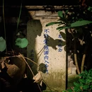 四季逸境酒店(金华高铁站银泰城店) - 金华市旅游 缩略图 7