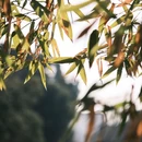 江苏西夏墅工具交易中心 - 常州旅游 缩略图 9