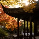 拙政园 - 苏州市旅游 缩略图 5