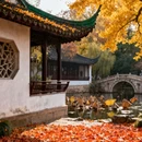 拙政园 - 苏州市旅游 缩略图 7