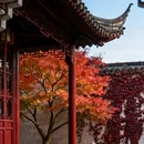 拙政园 - 苏州市旅游 缩略图 8