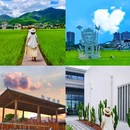 世界长寿乡 蕉岭米香中心 - 梅州市旅游 缩略图 1