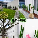 世界长寿乡 蕉岭米香中心 - 梅州市旅游 缩略图 8