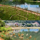 世界长寿乡 蕉岭米香中心 - 梅州市旅游 缩略图 6