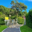 塘坑背水库群碧道 - 深圳市旅游 缩略图 4