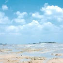 日照安泰海物语酒店 - 日照市旅游 缩略图 7