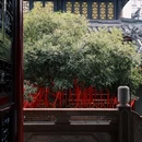 大慈寺 - 成都市旅游 缩略图 1