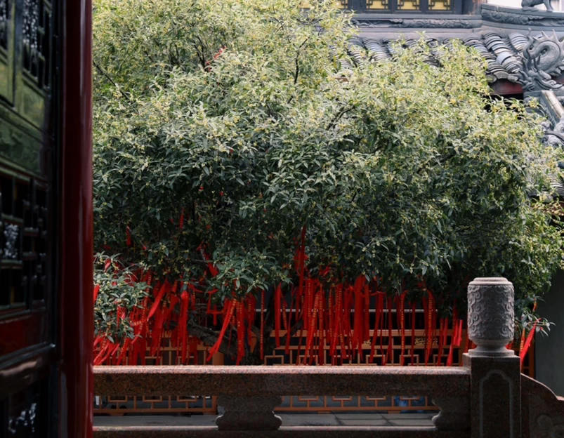 大慈寺 - 成都市旅游 1
