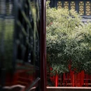 大慈寺 - 成都市旅游 缩略图 6