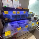 金八珍 潮汕鱼仔大排档 - 广州市旅游 缩略图 6