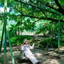 石门国家森林公园 - 广州市旅游 缩略图 6