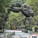神农架风景区 - 神农架林区旅游 缩略图 5