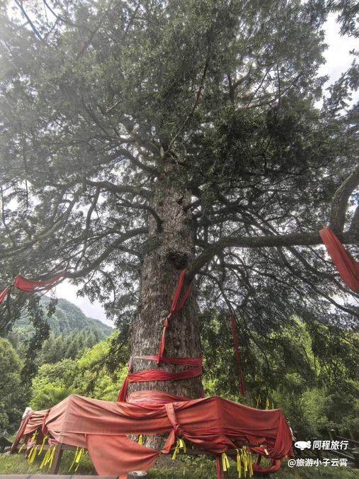 神农架风景区 - 神农架林区旅游