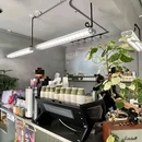 GREEN FISH COFFEE 绿鱼咖啡(中山店) - 大连市旅游 缩略图 7