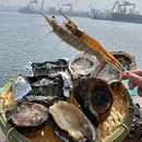 柔杉串烧(梭鱼湾球场店) - 大连市旅游 缩略图 5