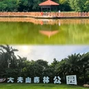 大夫山森林公园 - 广州市旅游 缩略图 2