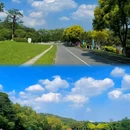 大夫山森林公园 - 广州市旅游 缩略图 7
