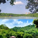 大夫山森林公园 - 广州市旅游 缩略图 6
