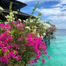 仙本那 - 马来西亚旅游 缩略图 6