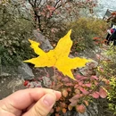 崛围山风景区 - 太原市旅游 缩略图 9