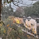 篁岭景区 - 上饶市旅游 缩略图 4
