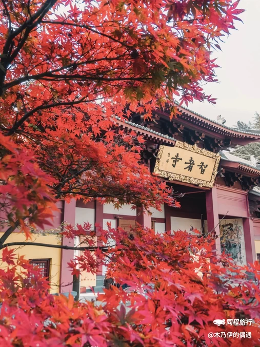四季逸境酒店(金华高铁站银泰城店) - 金华市旅游