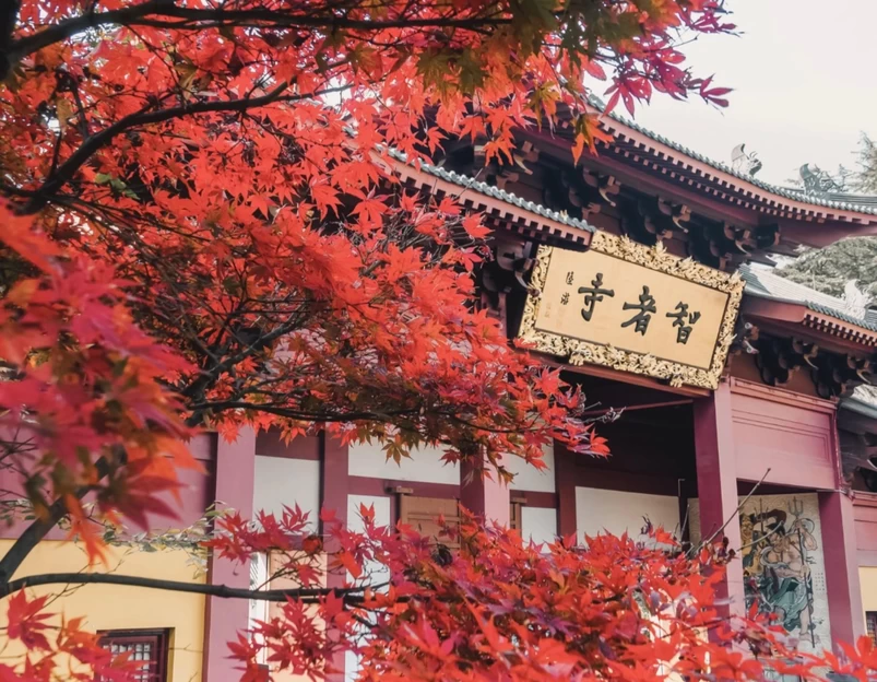 四季逸境酒店(金华高铁站银泰城店) - 金华市旅游 1