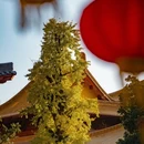 四季逸境酒店(金华高铁站银泰城店) - 金华市旅游 缩略图 6