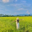 科旺·遇稻里 - 广州市旅游 缩略图 3