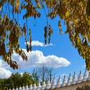 桑耶寺 - 山南旅游 缩略图 7